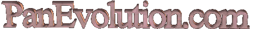 Panevolution.com